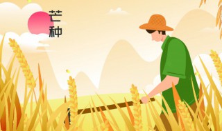 2022年芒种后9天是几月几号（2022年芒种几月几日）