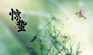 2022年惊蛰是什么节气 今年惊蛰节气是什么时候