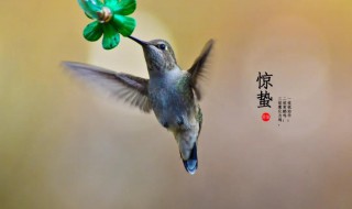 2022年几号惊蛰节气几点几分 2022惊蛰是哪一天