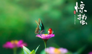 惊蛰时间2022几点几分（惊蛰时间2021几点几分）