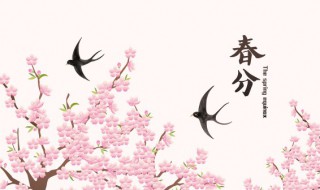 春分烧香祈福好吗（祈福烧什么香好）