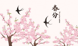 春分一候海棠啥意思 海棠春令什么意思