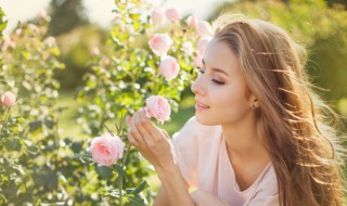 春分古诗词十二首 春分的七言古诗