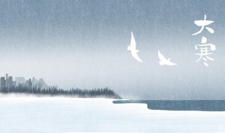 2022年大寒公历几月几号(2022的大寒是几月几日到几月几日)