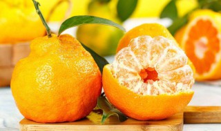 丑橘和耙耙柑区别 丑橘与耙耙柑一样吗