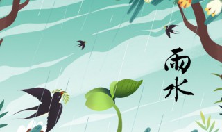 雨水过后天气有什么变化（雨水过后的天气变化）