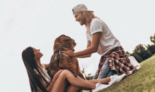 有人气的心情短语大全 心情好的短语类型