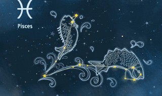 一月二十三号是什么星座（阳历一月二十三号是什么星座）