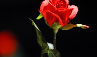 2022母亲节的祝福语（2021母亲节祝福语大全）