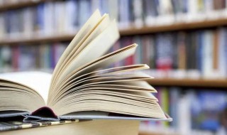 哪有什么岁月静好的完整诗句是什么（表示岁月静好的诗）