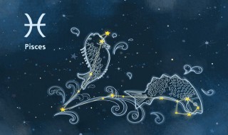 十月二十四是什么星座 1995年农历十月二十四是什么星座