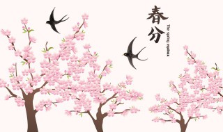 春分是几月几号（2022年春分是几月几号）