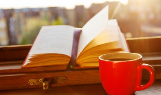 有目字旁的字 什么有目字旁的字