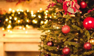 圣诞节祝福语英语（圣诞节祝福语英语一段）