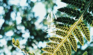 2022小暑节日的经典说说 2021最新大暑节气说说大全