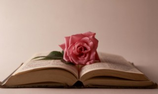 情人节英语祝福语大全（情人节快乐英语祝福语）