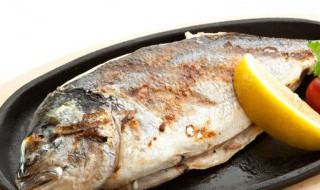 豆腐鱼的营养价值（豆腐鱼有啥营养价值）