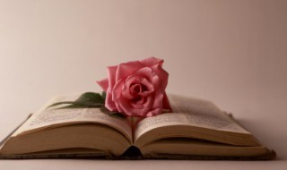 关于描写月亮的温柔浪漫文案 关于月亮的温柔简短文案