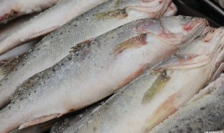 白鱼的营养价值及功效 白鱼营养功效与作用