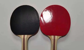 乒乓球拍黑色和红色胶皮的区别是什么