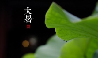 2022大暑节气经典说说祝福语（大暑季节祝福语）