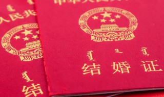 男牛女鸡结婚会分开吗（男牛女鸡合婚吗）