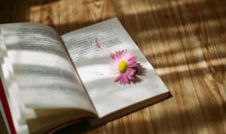 走心又精辟的朋友圈文案（经典的朋友圈文案）