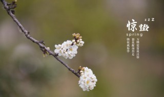 惊蛰到来后天气有什么变化（惊蛰前后的天气现象）