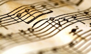 我在哪儿我该往哪儿本来就跟你不是同路人是什么歌