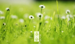 春分无雨是空年是什么意思 春雨行空什么意思