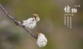 惊蛰不可以吃什么（惊蛰不宜吃什么）