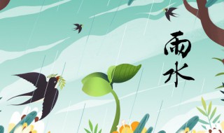 雨水吃什么传统食物 雨水吃什么传统食物 节气北方