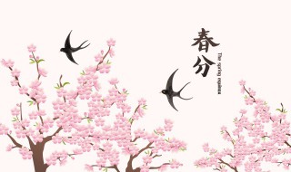 2022年春分后还冷吗（今年春节会冷吗2022）