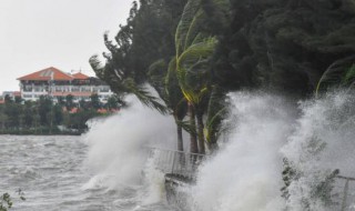 台风是怎么命名的?是谁给命名的（台风名称是根据什么命名的）