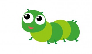 毛毛虫吃什么（毛毛虫吃什么食物图片）