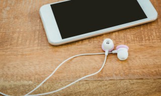 耳机l是左是右（耳机l是左边右边）