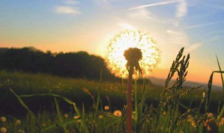 快手怎么发文案吸引人 快手文案怎么写吸引人