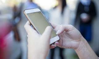 挪骚窝是什么意思（挪骚窝是哪天挪啊）