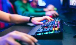 艾尔登法环白金之子支线任务怎么做