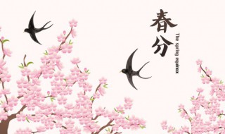 2022年春分可以作灶吗（2021年立春可作灶吗）