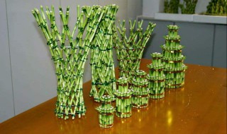 富贵竹冬天怎么养不会死 富贵竹是不是冬天不好养活