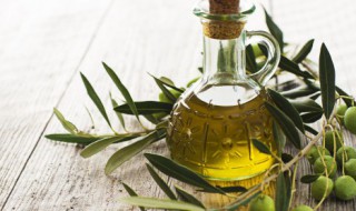 橄榄油买初榨的还是精榨的(橄榄油初榨的好还是精炼的好)