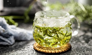 春天喝花茶好不好（春天多喝花茶）