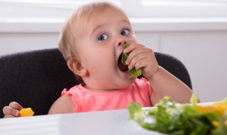 带梅字推荐名字（带梅字的名字好吗）