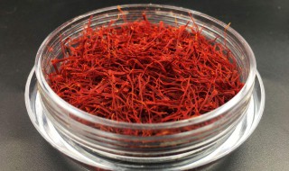 藏红花有什么好处和功效（藏红花好处和作用）