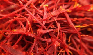 藏红花有什么药用价值(藏红花有什么药用价值告诉我)