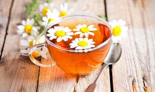 金银花泡水的功效与作用及禁忌（金银花泡水有什么功效和副作用）