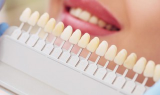 齿龈在哪 齿龈在哪个位置图