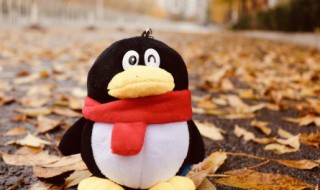 qq网名女生可爱小清新（女生的qq网名清新可爱）