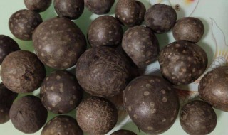 黄药子的功效与作用（黄药子的功效与作用,黄药子的副作用）